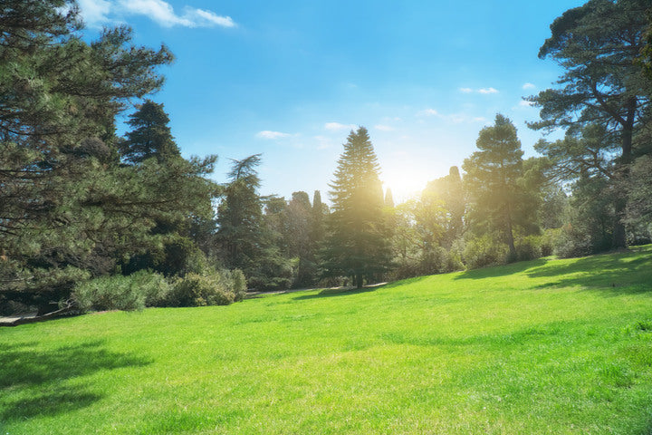3 Ways You Can Get The Best Landscape This Season!