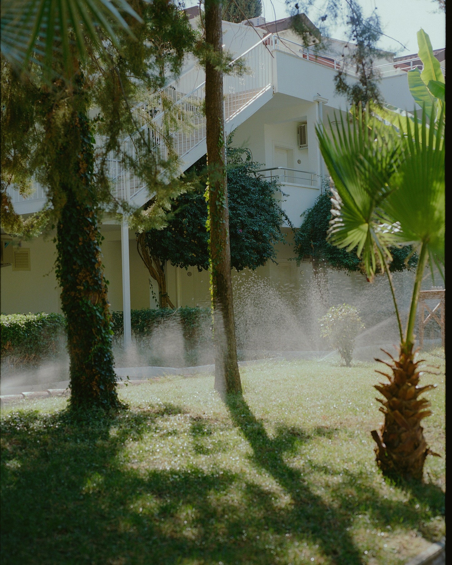 A Healthy Lawn Needs Less Water