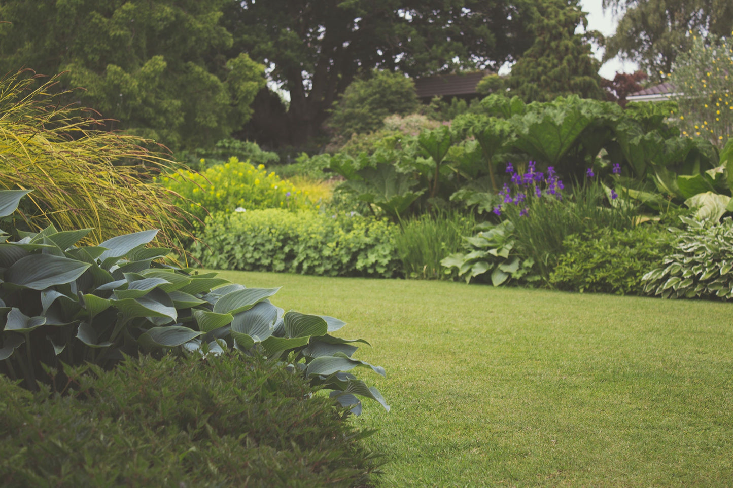 The Key To A Healthy Lawn