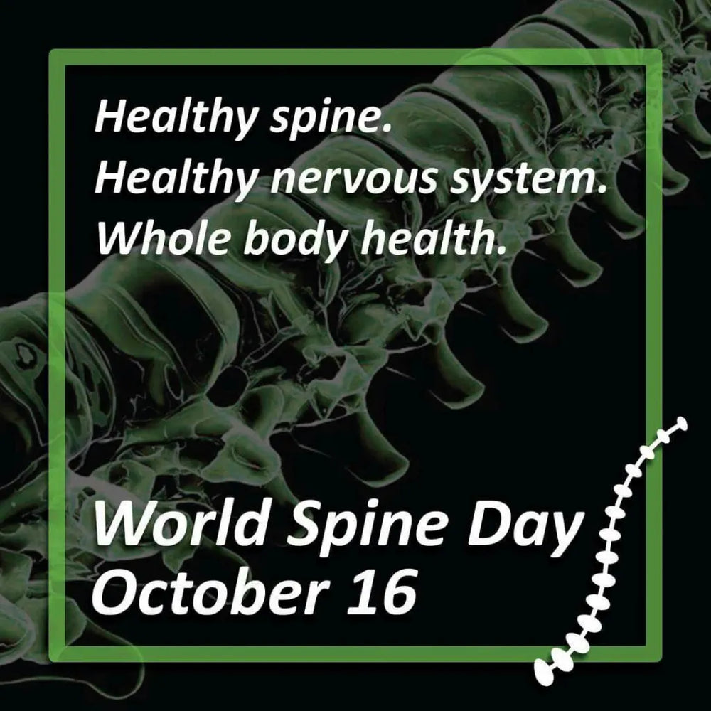 Happy World Spine Day!