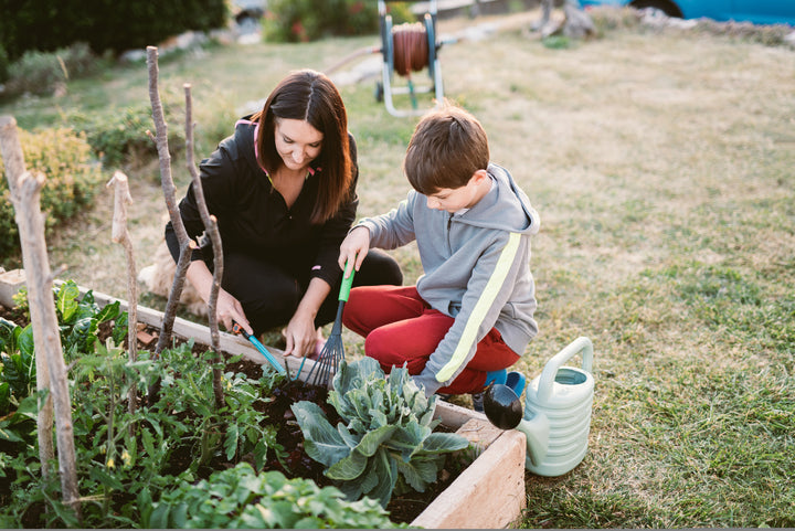 The Top 3 Gardening Tips for The Season